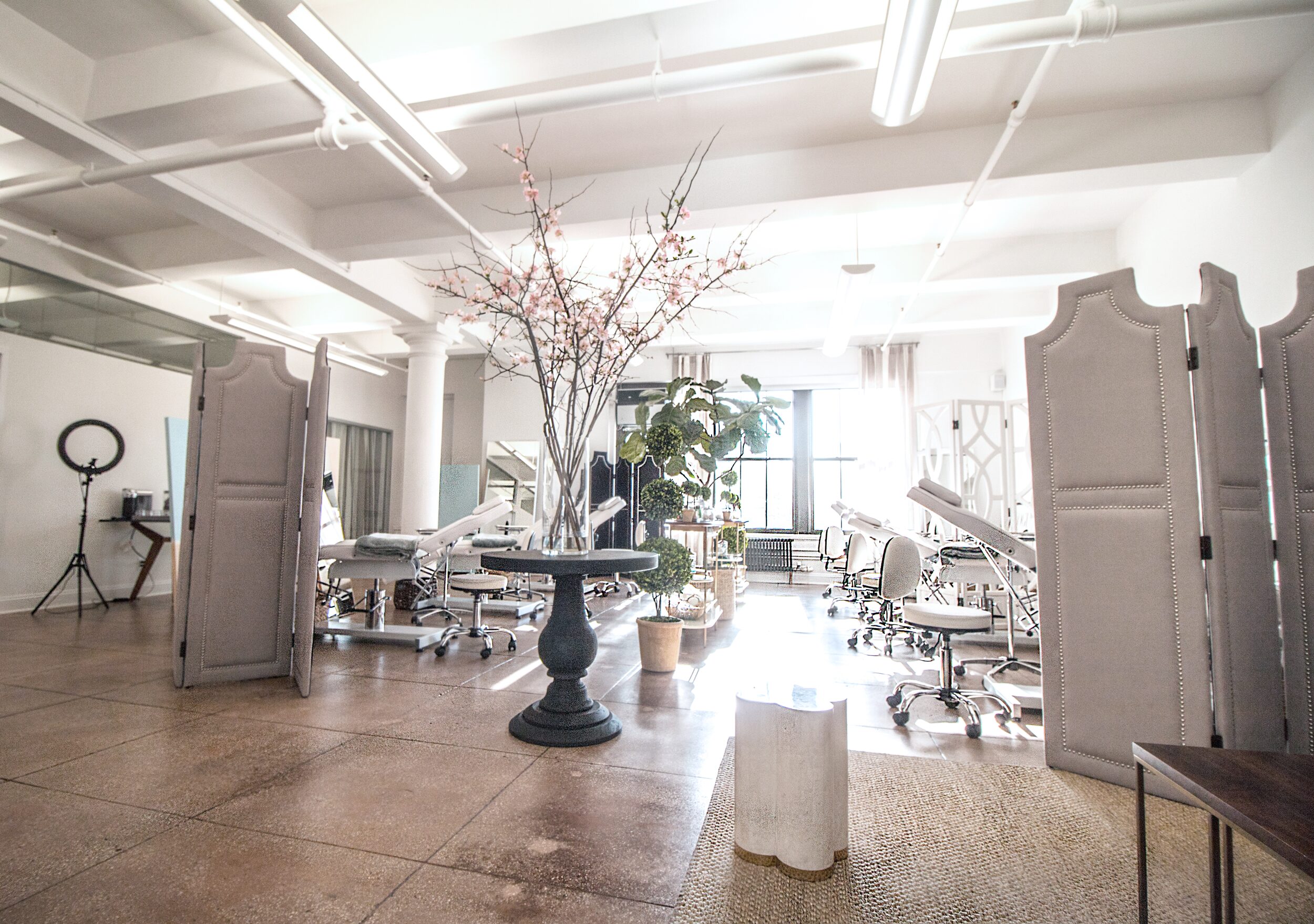 A bright, modern studio with several reclining chairs, potted plants, divider screens, and photography equipment under fluorescent lights.