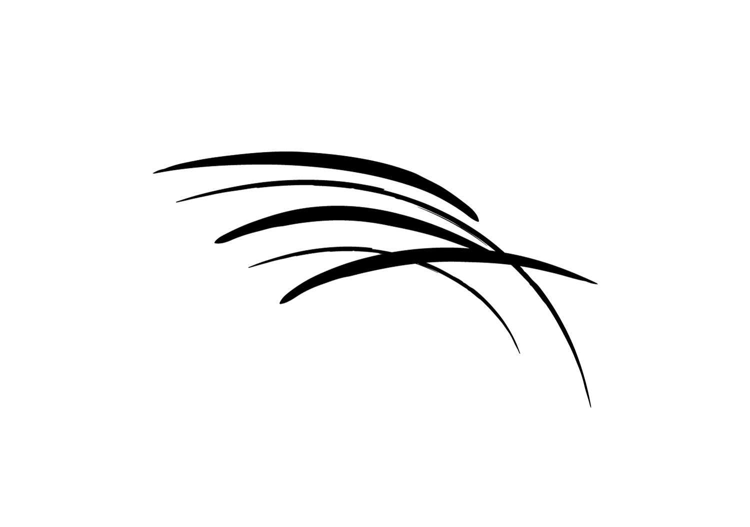 Four curved black brushstrokes on a light gray background, arranged in a loose, overlapping pattern resembling abstract lines or waves.