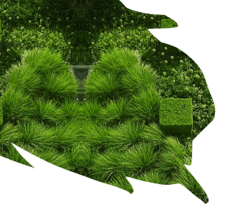 A patch of dense, green grass and shrubs arranged in a geometric pattern with two box-shaped sections on a white background, reminiscent of the fresh aesthetics found at Evertrue Salon.