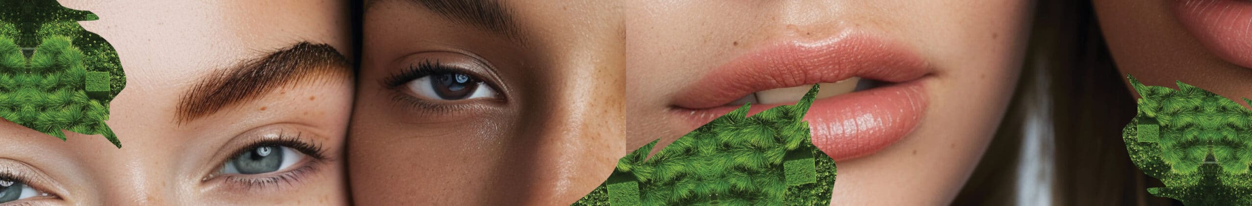 Close-up of four people’s faces with diverse skin tones, overlaid with green leafy textures around the edges, embodies Evertrue Salon Policies and Customer Guidelines for inclusivity and care.