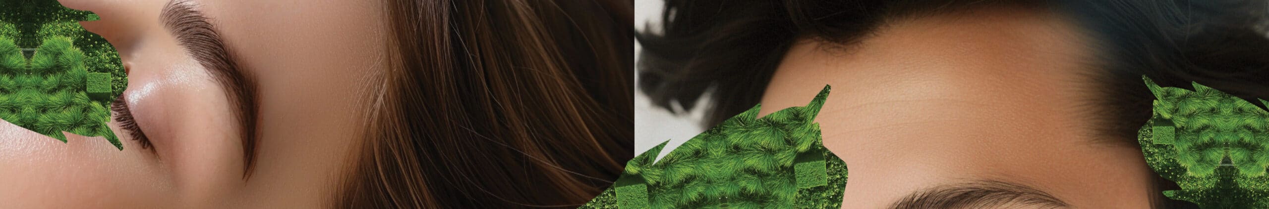 Close-up of two people’s foreheads and eyebrows, partially obscured by green textured leaf shapes, one with long brown hair and one with short dark hair.