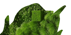 A collage of green foliage, moss, and a cube covered in grass set against a plain white background evokes the fresh, rejuvenating essence of luxury beauty treatments at Evertrue Salon.