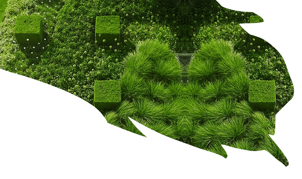 Aerial view of a green garden with square-shaped bushes and dense grass, arranged in symmetrical, geometric patterns, reminiscent of an Evertrue Salon design on a white background.